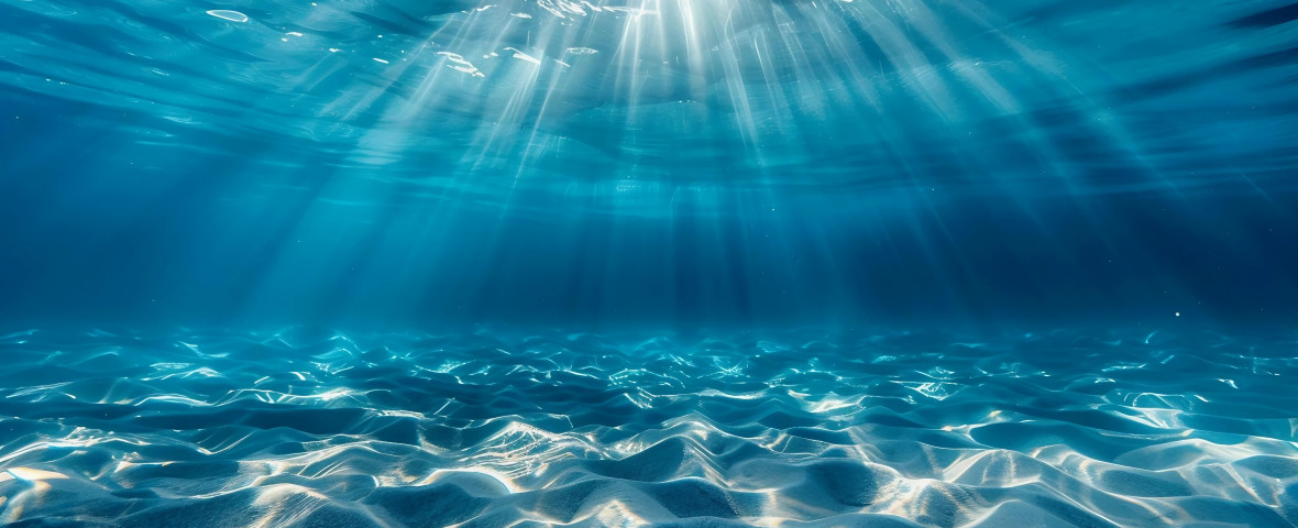 Underwater,,Sunlight,,Ocean,,Clear,Water,,Sun,Rays,,Caustics,,Sea,Bed,
