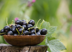 A,Wooden,Bowl,Filled,With,Fresh,Blackcurrants,On,A,Tree