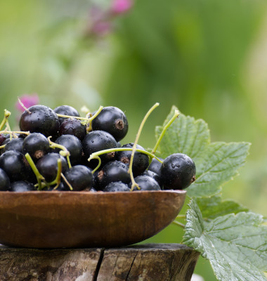 A,Wooden,Bowl,Filled,With,Fresh,Blackcurrants,On,A,Tree