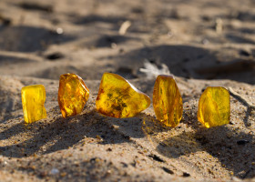 A,Few,Natural,,Polished,Baltic,Ambers,On,A,Sandy,Beach