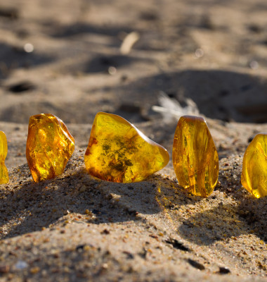 A,Few,Natural,,Polished,Baltic,Ambers,On,A,Sandy,Beach