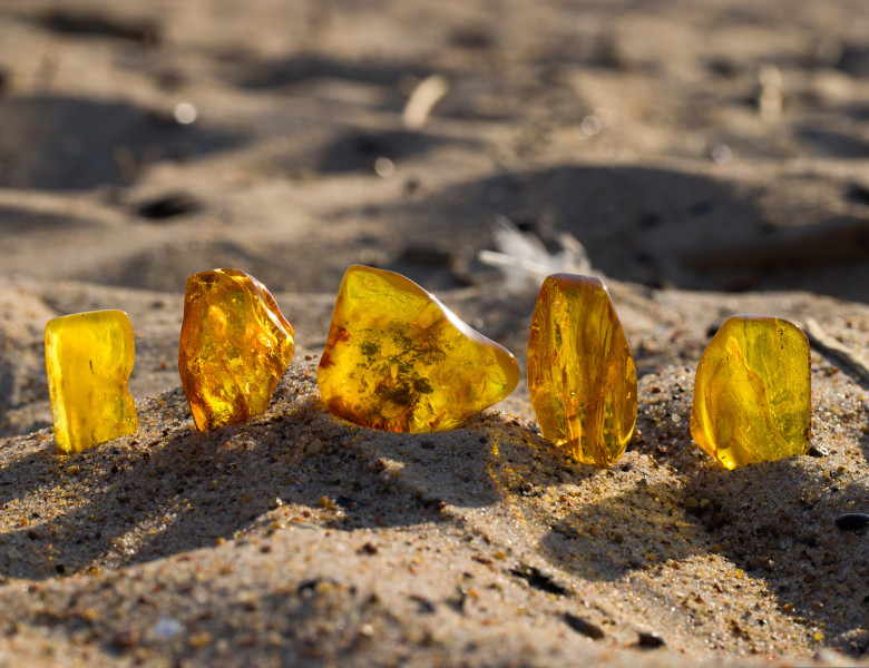 A,Few,Natural,,Polished,Baltic,Ambers,On,A,Sandy,Beach