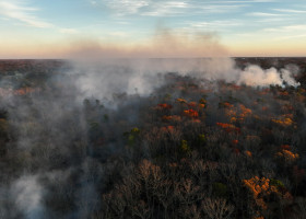 incendiu, fum, poluare