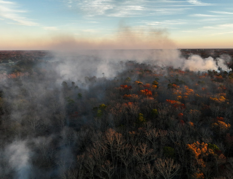 incendiu, fum, poluare