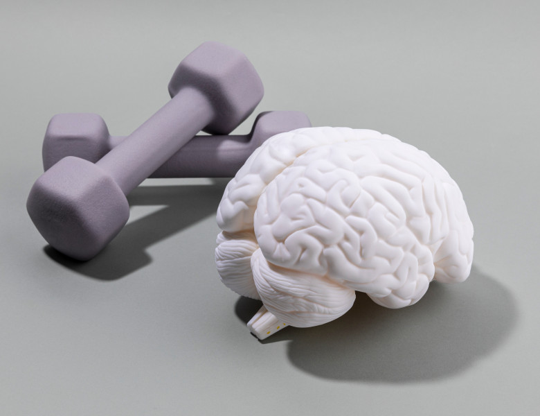 Brain,Health,And,Dementia,Series_brain,Miniature,And,Dumbbell