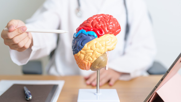 Riscul de Alzheimer, redus cu aproape 40% printr-un obicei simplu practicat toată viața