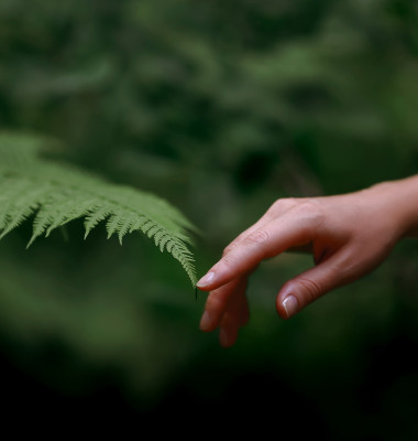 A,Woman's,Hand,And,A,Fern,Leaf.,Man,And,Nature