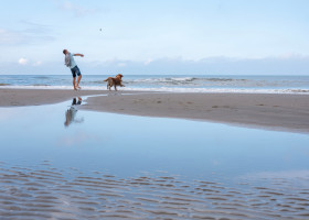 Wijk,Aan,Zee,,Netherlands,,7,September,2024:,Man,Plays,With