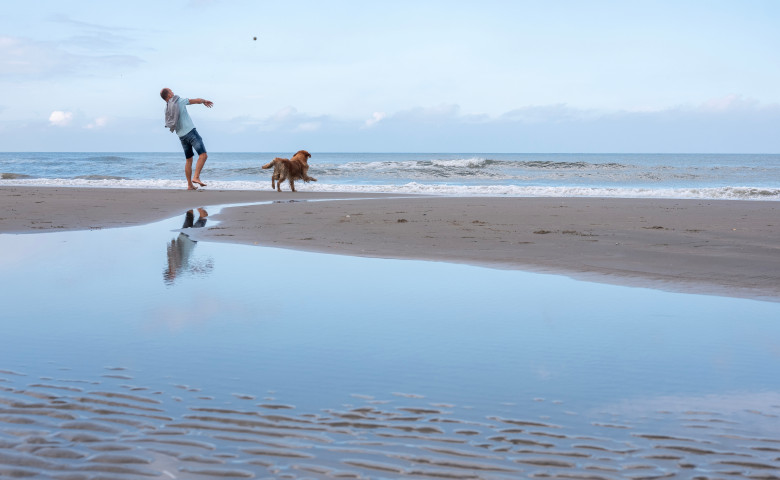 Wijk,Aan,Zee,,Netherlands,,7,September,2024:,Man,Plays,With