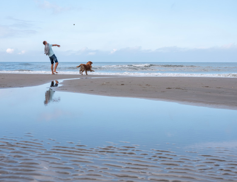 Wijk,Aan,Zee,,Netherlands,,7,September,2024:,Man,Plays,With