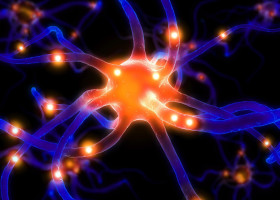neuroni, celule creier