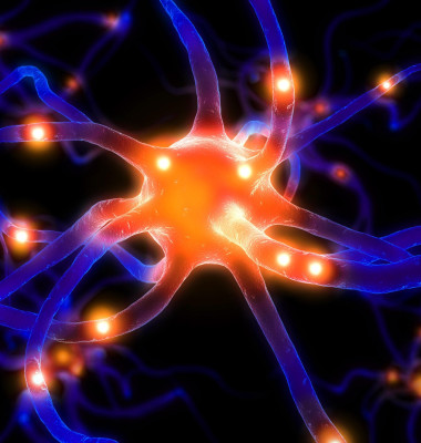 neuroni, celule creier