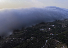 nor rulou (1)