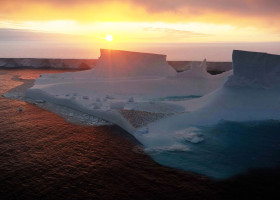 ARCTIC ANIMALS DRIFTING AWAY ON LARGEST A23A ICEBERG  IN THE WORLD