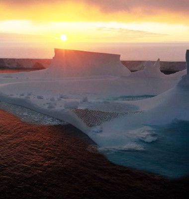 ARCTIC ANIMALS DRIFTING AWAY ON LARGEST A23A ICEBERG  IN THE WORLD
