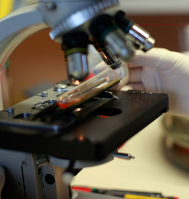 Flu Virus Analysis