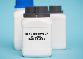 Persistent organic pollutants