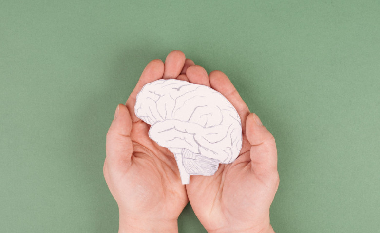 creier, parkinson, boli neurodegenerative