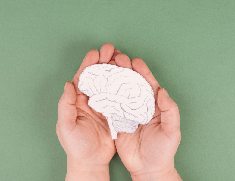 creier, parkinson, boli neurodegenerative