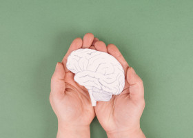 creier, parkinson, boli neurodegenerative