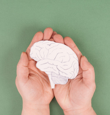 creier, parkinson, boli neurodegenerative