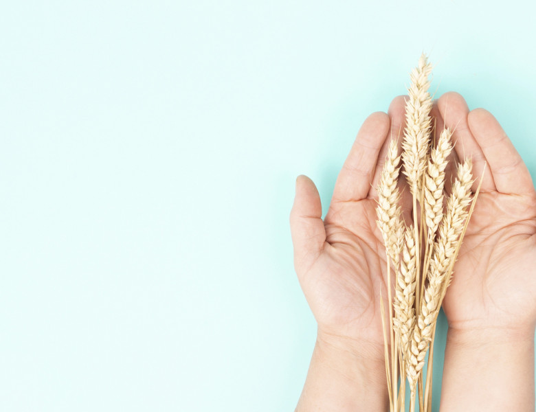 gluten