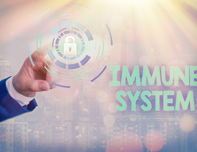 Writing note showing Immune System. Business concept for Complex network work together to defend against germs