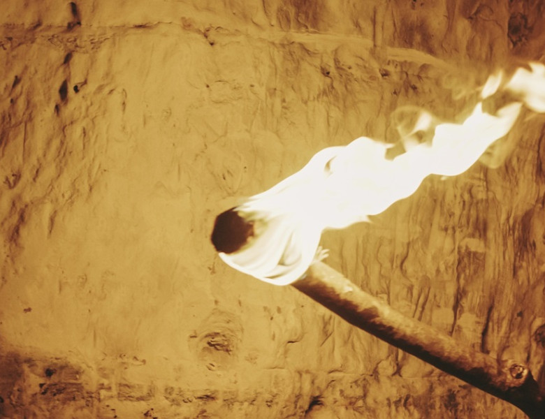 Prehistoric man holding torch