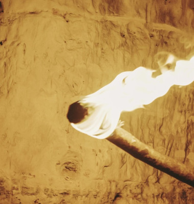 Prehistoric man holding torch