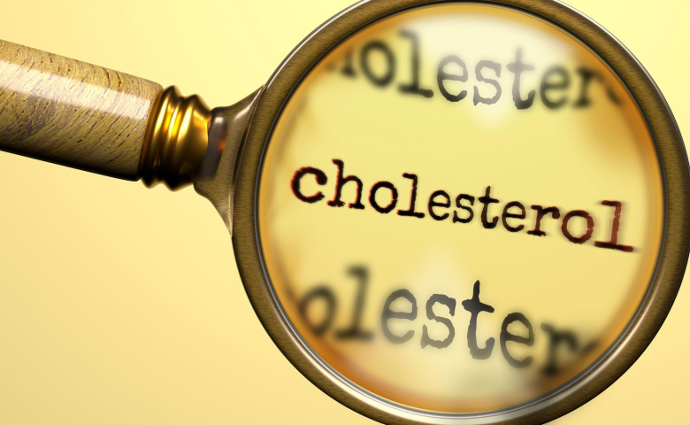 Cholesterol under magnifying glass. Thorough analysis and inspection of cholesterol. Taking a closer look at cholesterol. Examination of the concept o