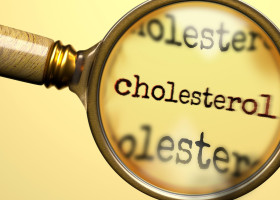 Cholesterol under magnifying glass. Thorough analysis and inspection of cholesterol. Taking a closer look at cholesterol. Examination of the concept o