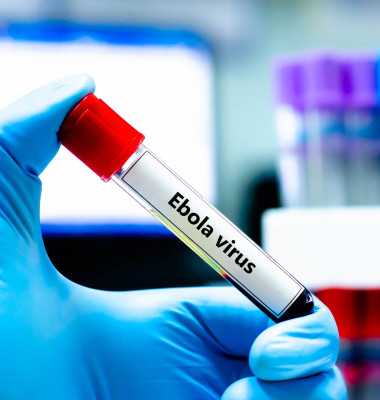 Ebola/ Profimedia