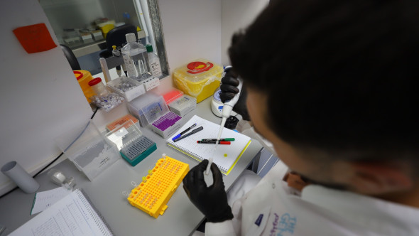 "Scutul" genetic împotriva obezității. Mutația rară care protejează și ficatul de acumularea grăsimii