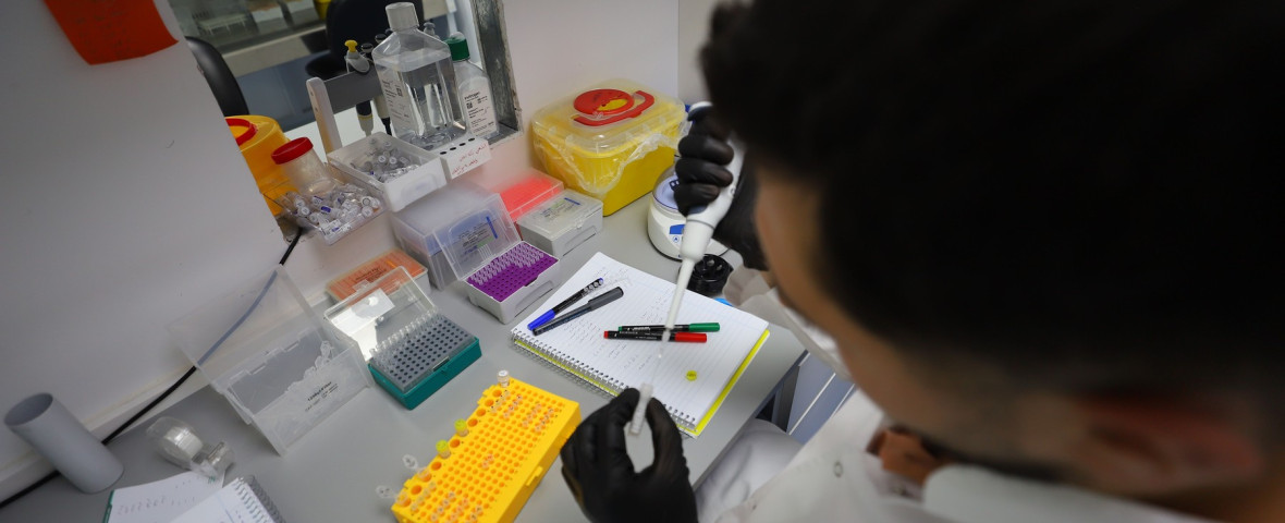 laborator, cercetare, mutatie genetica