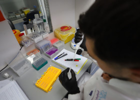 laborator, cercetare, mutatie genetica