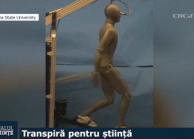 manechin, jurnalul de stiinte