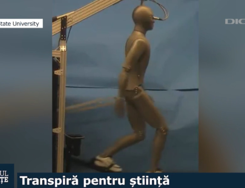 manechin, jurnalul de stiinte