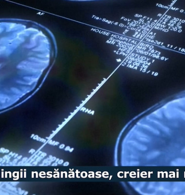 gingii si creier, jurnalul de stiinte