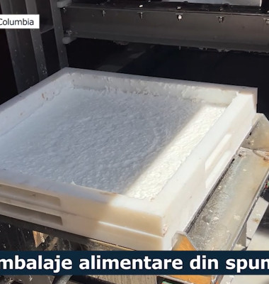 jurnalul de stiinte, spuma