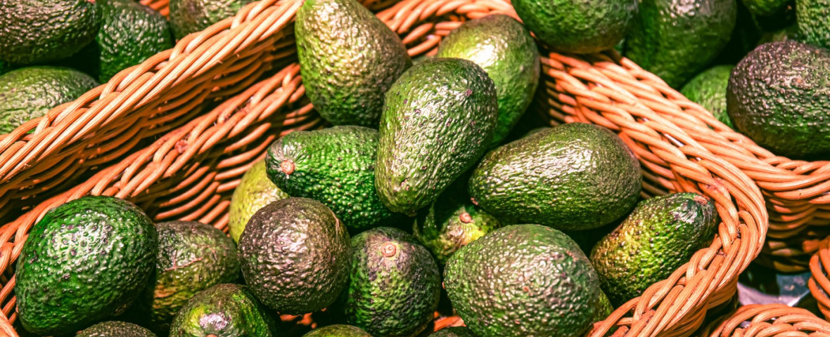 avocado