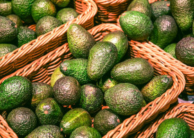 avocado