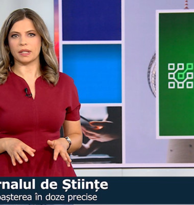 teodora safta