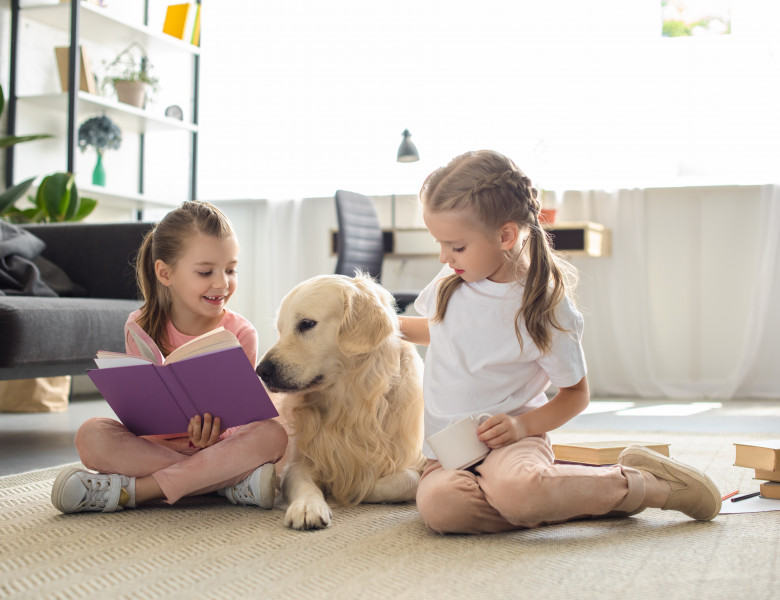 Golden retriever familie