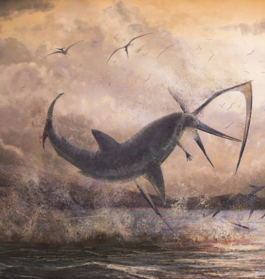 lupta rechin pterozaur