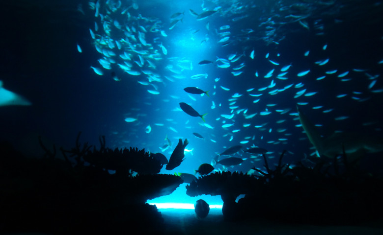 mare adancime ocean