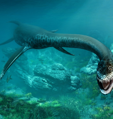 dinozaur disparut reptila marina preistorica dinozaur plesiosaur