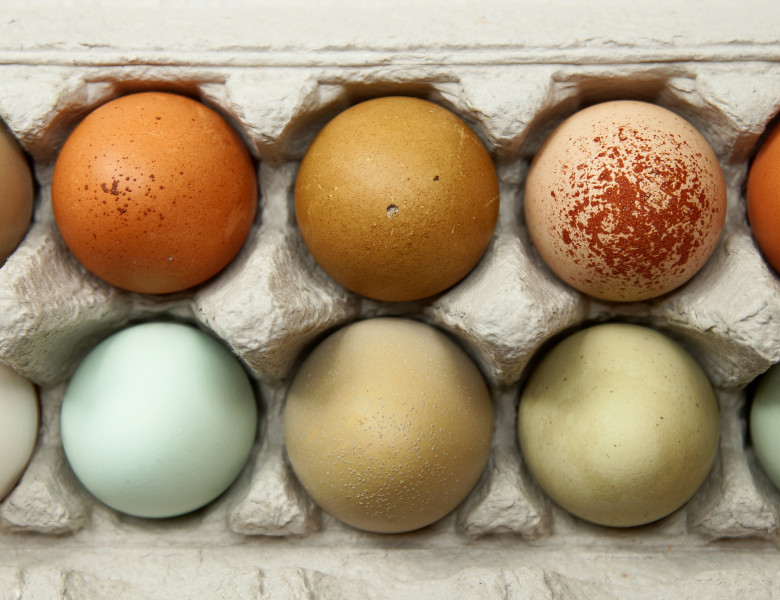 oua diferite culori