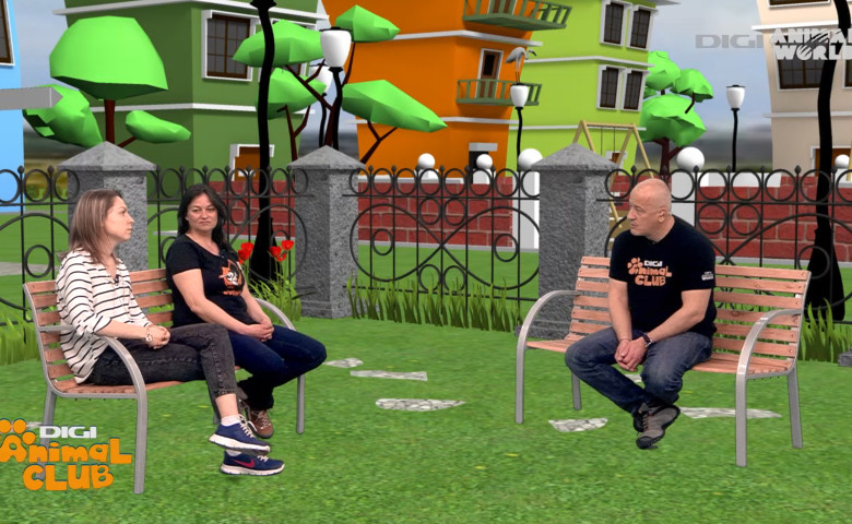 Screen Shot 2020-03-31 at 11.24.48