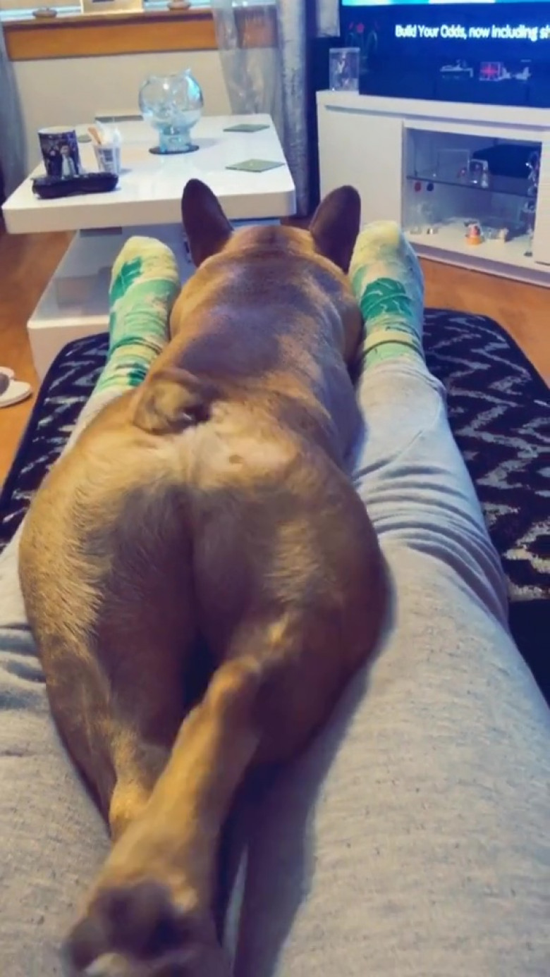 EXCLUSIVE: Meet The French Bulldog Who Is A Viral Sensation Thanks To His 'Thicc' Bottom â€“ With Owners Saying He Is Giving Kim Kardashian A Run For Her Money