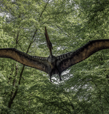 Kosice,,Slovakia,-,May,12:,Model,Of,Dinosaur,Pterodactyl,In